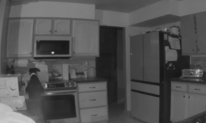 Cachorro acende fogão no meio da noite e causa incêndio em casa; veja vídeo