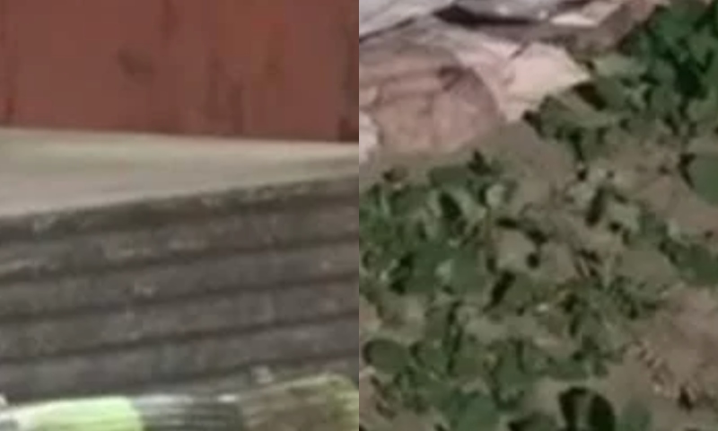 Agente penitenciário é sequestrado e t0rturado até a m0rte, em Manaus; veja vídeos