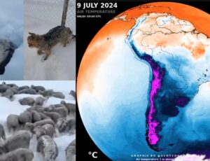 Onda de frio na Argentina faz animais congelarem; veja vídeo