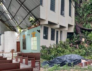 Árvore cai e destrói igreja no bairro Cidade Nova; veja