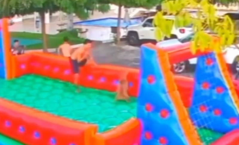 Câmeras flagram at4que brut4l de cachorro contra cinco pessoas durante festa infantil; veja vídeo