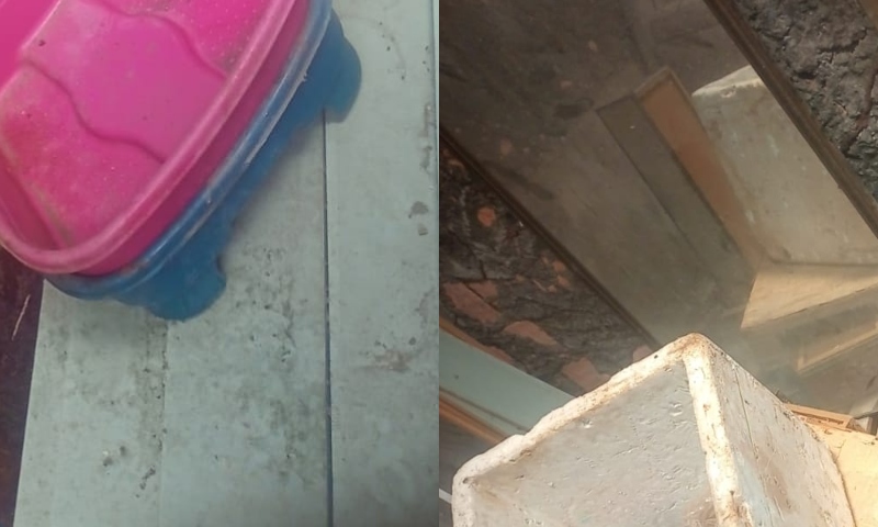 Urgente: c0rpo é encontrado dentro de casa no bairro Japiim; veja cena