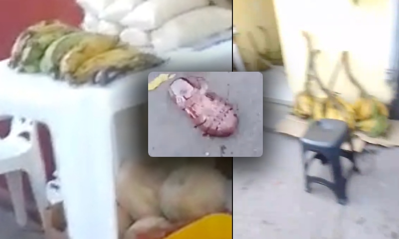 Tir0teio no Mauzinho também atinge cri4nça e homem inocente; veja vídeo