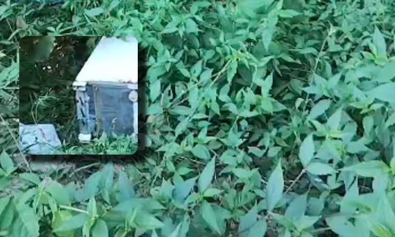 Urgente: c0rpo esqu4rtejad0 é encontrado dentro de geladeira na zona leste de Manaus; veja vídeo
