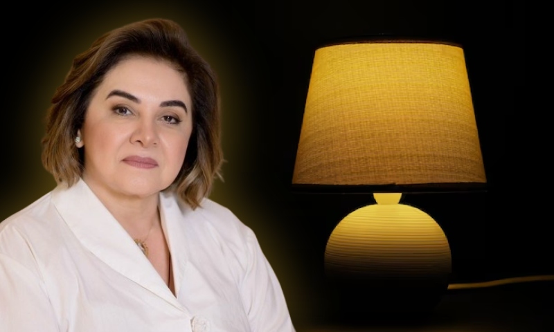 “Virou abajur?”: Maria do Carmo é criticada após abandonar candidatura de prefeita para ser vice de Alberto Neto; veja vídeo