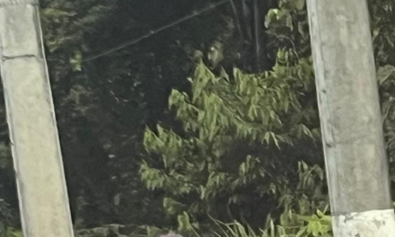 Urgente: c0rpo é encontrado na Estrada do Aeroporto em Manaus; veja