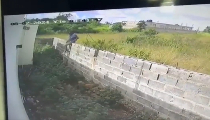 Bandido recebe surpresa dol0ros4 de vários pitbull’s ao tentar r0ubar casa de empresário ; veja vídeo