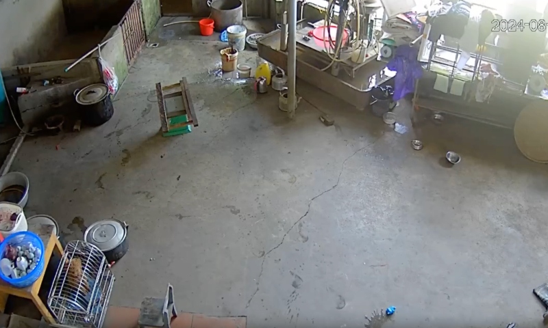 Cru3ld4de: homem 4ssass1na a própria esposa como se ela fosse um p0rco; veja vídeo