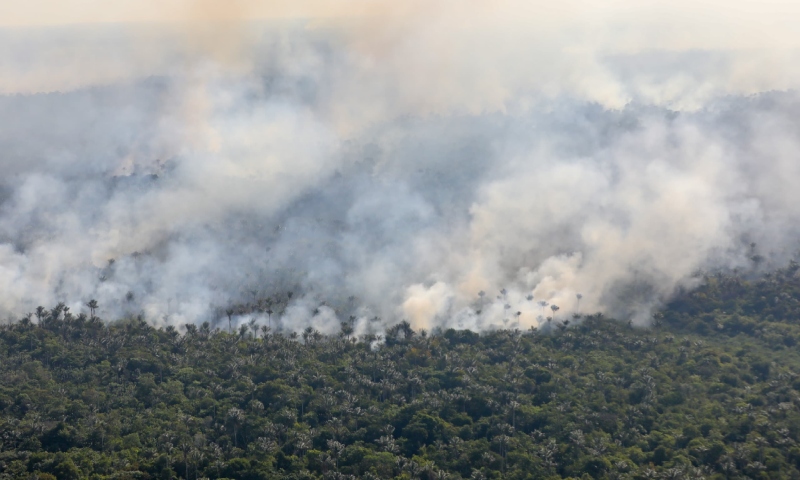 MPAM cobra ações urgentes pelo combate à queimadas no município de Tapauá