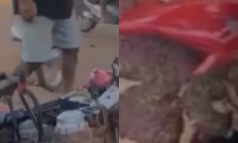 Mulher m0rre em gr4ve ac1dente de moto no Amazonas; veja vídeo
