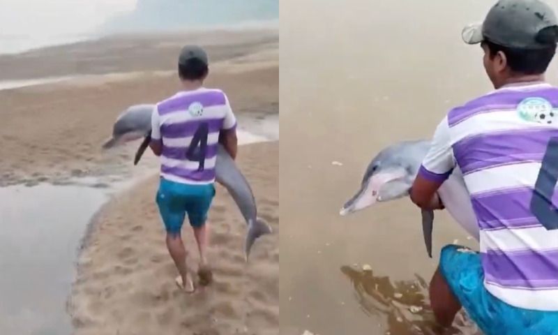 Herói: ribeirinho salva boto encalhado em rio durante a seca no Amazonas; veja o vídeo