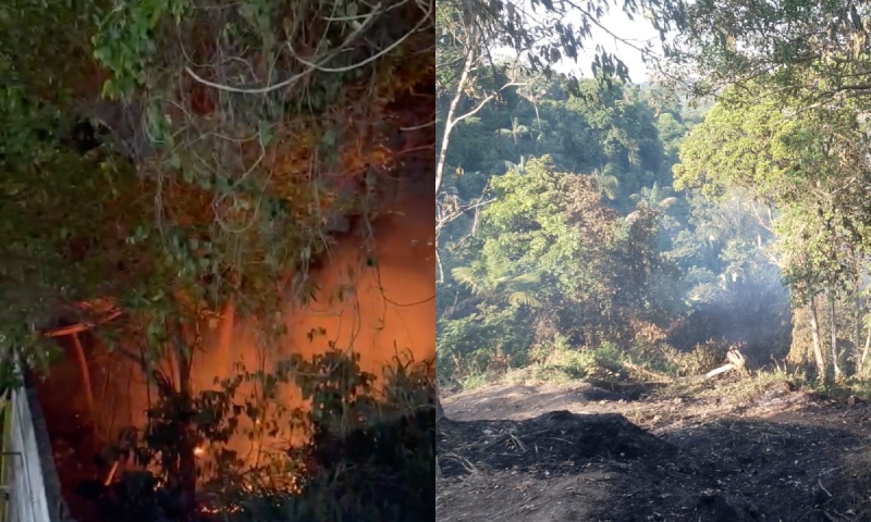 Invasores de terra ateiam fogo em terreno ao lado da UPA do Novo Aleixo; veja vídeos