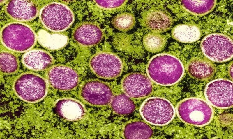 Dá para se infectar duas vezes pela mpox? Tire dúvidas