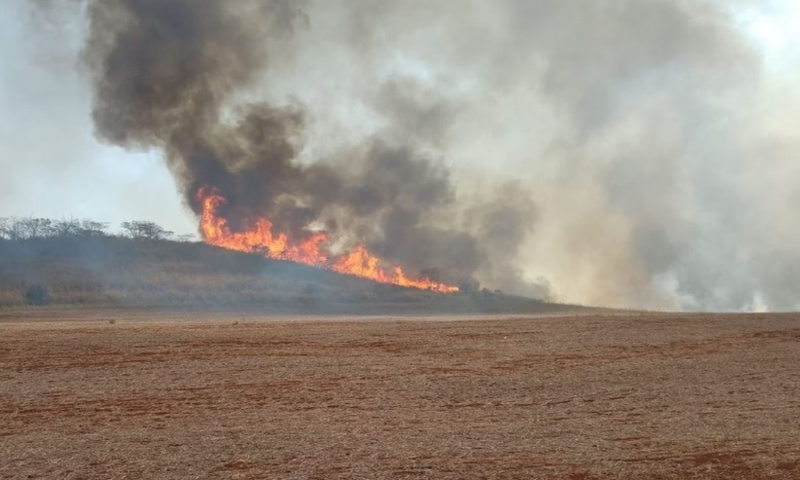PF já tem 31 inquéritos para investigar incêndios na Amazônia, São Paulo e Pantanal