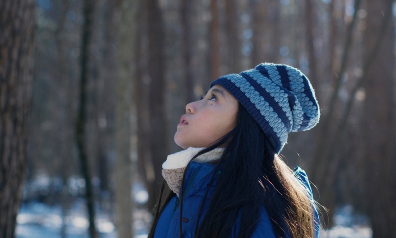 ‘O Mal Não Existe’ e ‘Cidade, Campo’ chegam ao Cine Casarão nesta quinta-feira (29)