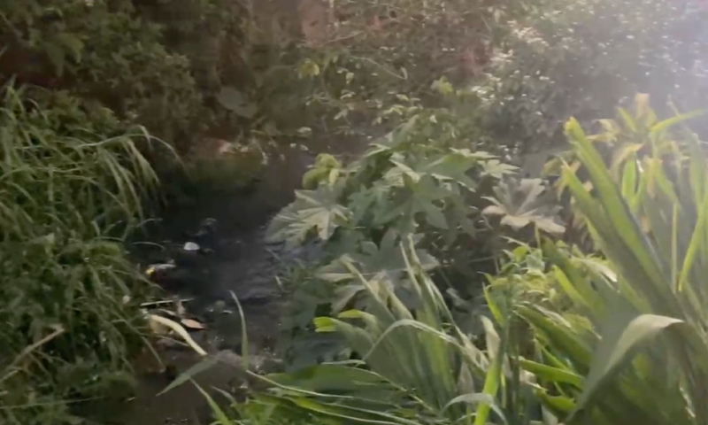 Urgente: jovem é assassin4d0 em terreno no Monte das Oliveiras; veja vídeo