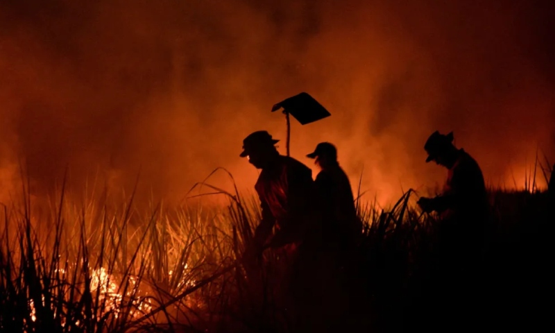 Governo do Amazonas reforça combate às queimadas com 85 brigadistas a partir desta segunda-feira (2)