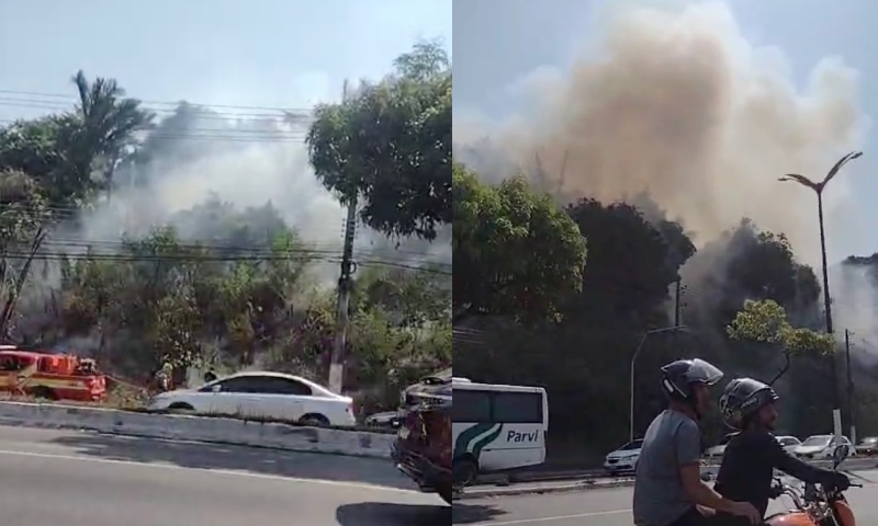 Urgente: incêndio atinge área de mata do INPA e condutores registram o caos; veja vídeo