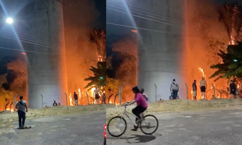 Urgente: incêndio se espalha por área verde em residencial no bairro Monte das Oliveiras; veja vídeo