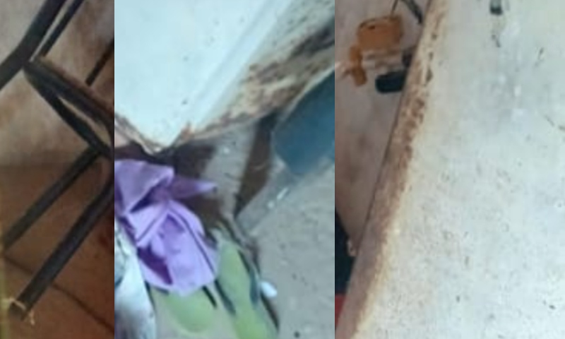 Pânico e correria: tir0te1o entre rivais deixa três m0rtos e vários fer1dos; veja vídeo