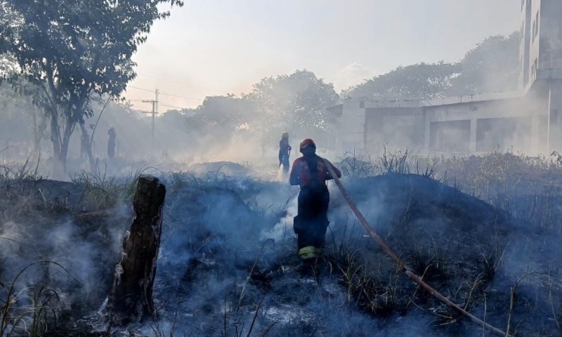 Em 24 horas, Corpo de Bombeiros combate 18 incêndios em áreas de vegetação em Manaus