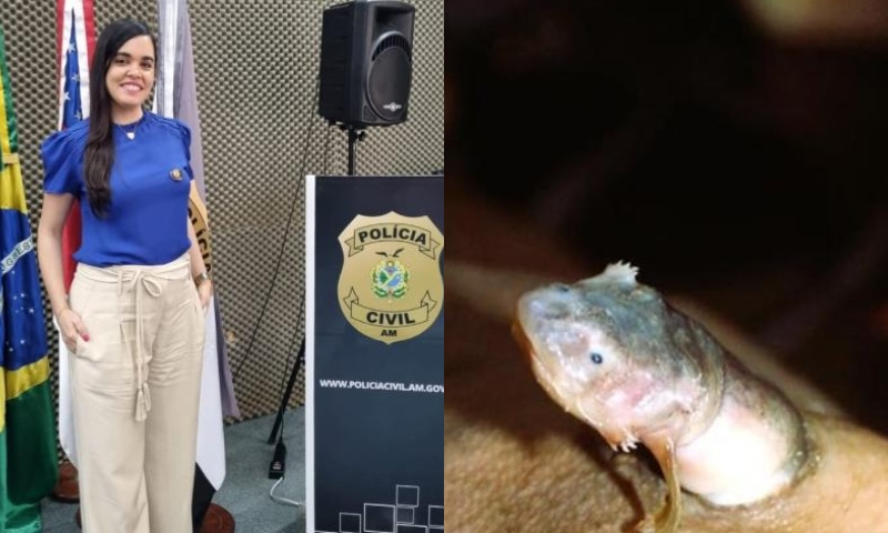 Perita do IML de Manaus vence concurso nacional com foto de candiru em cad4ver