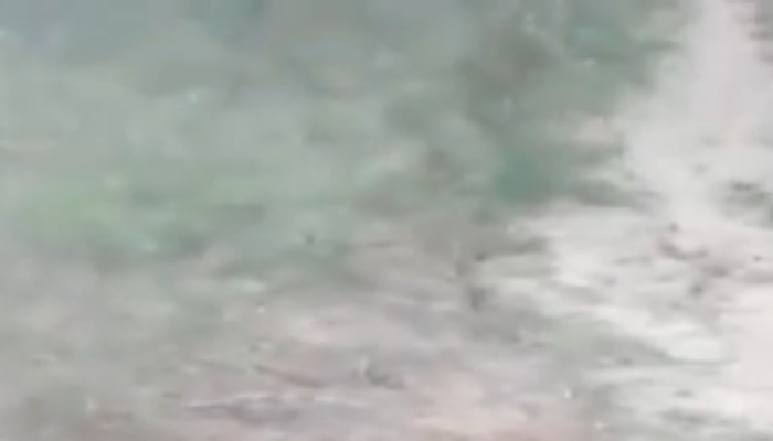 “Ficou só a lama”: casal é encontrado m0rto e desfigur4d0 em matagal; veja vídeo