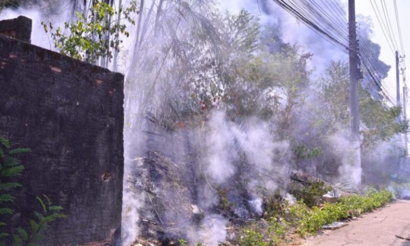 PF vai investigar incêndio em área do Inpa em Manaus