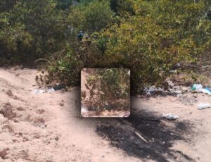 Corp0 com sinais de esp4ncamento é encontrado em ramal no bairro Lago Azul, em Manaus; veja vídeo