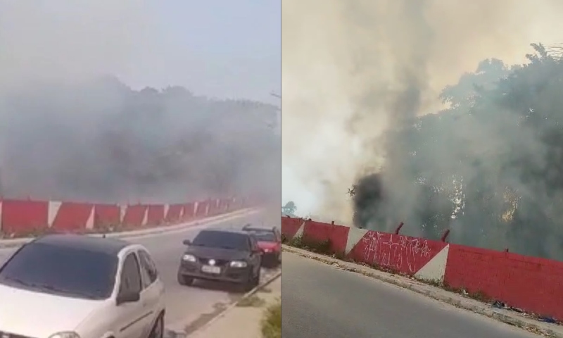 Manaus em Chamas: novo incêndio em matagal na zona Norte aumenta crise de calor; veja vídeo