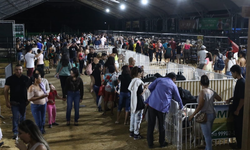 Expoagro 2024 acontece na próxima semana em Manaus; confira a programação
