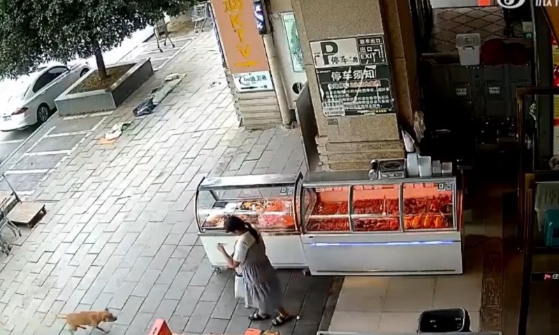 Cach0rro se irrita com choro de cri4nça e o p1or acontece; veja vídeo