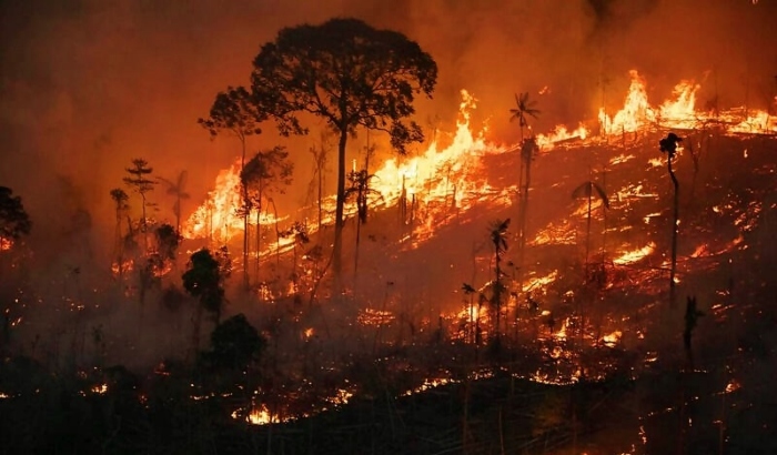 Monitoramento mostra que 99% dos incêndios florestais são causados por ação humana