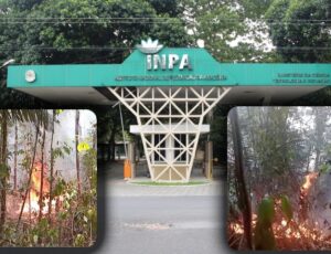 Urgente: Após 5 dias de incêndios na Reserva Ducke, INPA busca brigadistas voluntários; veja vídeo