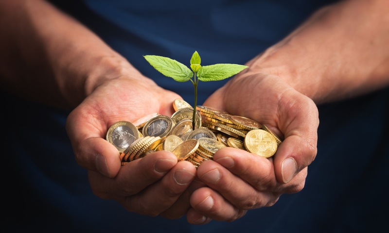 Venda bilionária de créditos de carbono no Pará abre debate: por que o Amazonas não consegue fazer o mesmo?