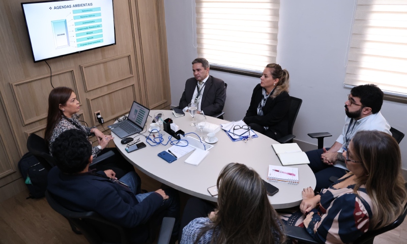 Comitê de Enfrentamento às Queimadas realiza reunião para alinhar estratégias no TCE-AM