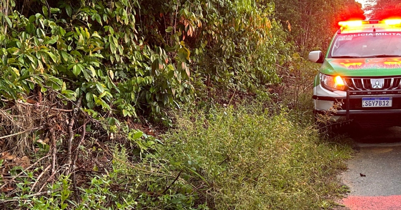 Urgente: jovem é assassin4d0 a faca4ds após briga com vizinho no Tarumã; veja