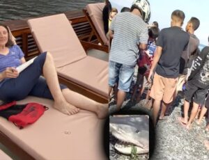 Tragédia: Id0sa cai de barco e é devor4da por tubarão; veja vídeo
