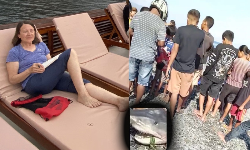 Tragédia: Id0sa cai de barco e é devor4da por tubarão; veja vídeo