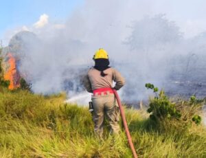 Corpo de Bombeiros combateu mais de 20 mil focos de incêndio com as Operações Aceiro e Céu Limpo