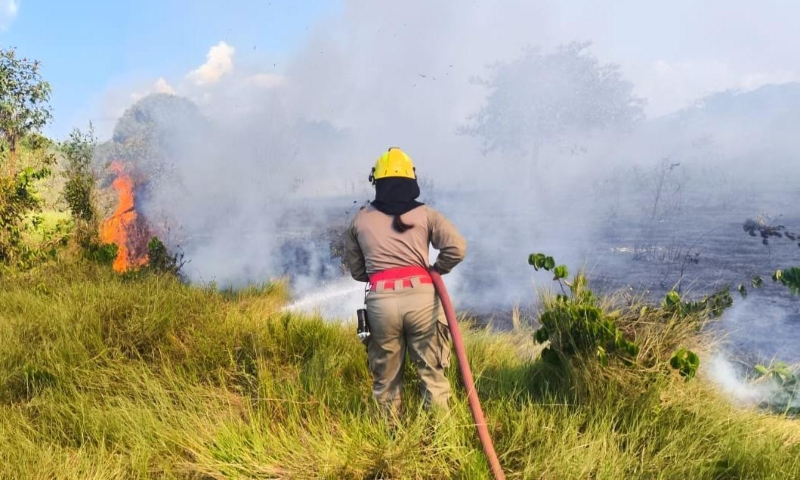 Corpo de Bombeiros combateu mais de 20 mil focos de incêndio com as Operações Aceiro e Céu Limpo