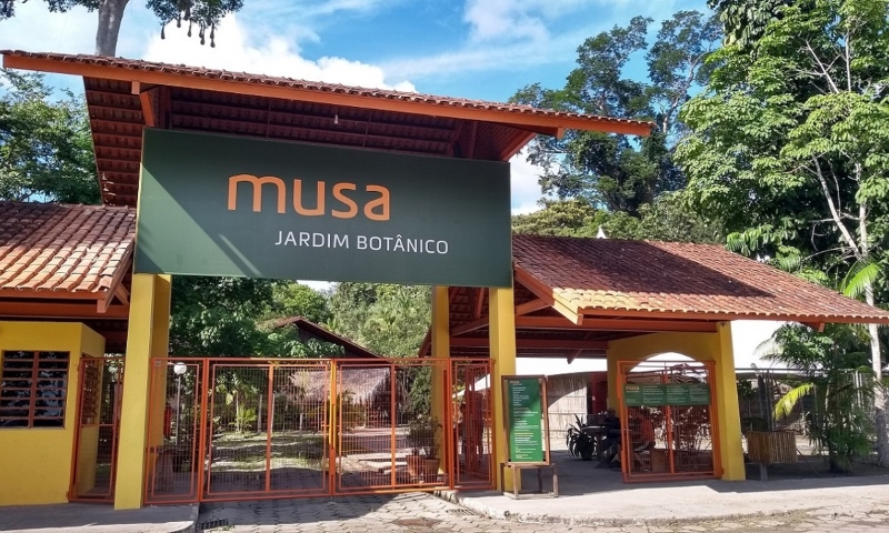 MUSA oferece entrada gratuita para crianças no Dia das Crianças