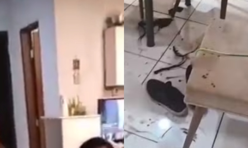 Homem invade casa e esf4queia ex-mulher e atual namorado dela; veja vídeos
