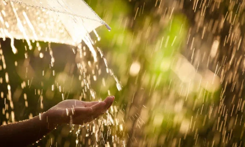 Amazonas terá grande quantidade de chuva no mês de outubro