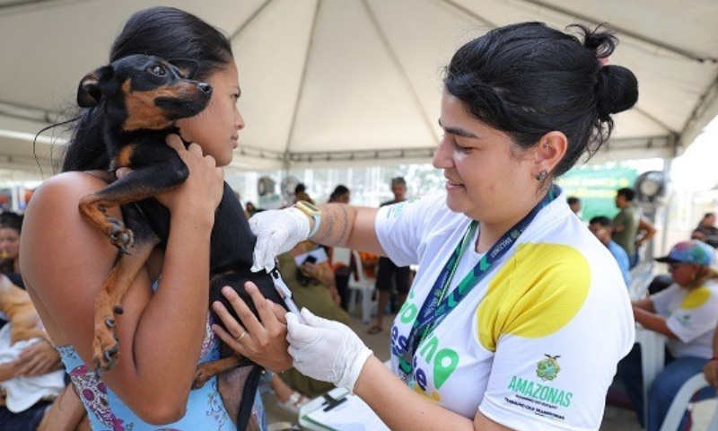 Ação promove serviços de castração e vacinação gratuitas para cães e gatos em Manaus