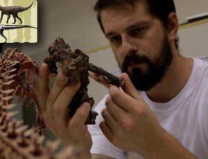 Fóssil de dinossauro que viveu há 237 milhões de anos é descoberto no Brasil