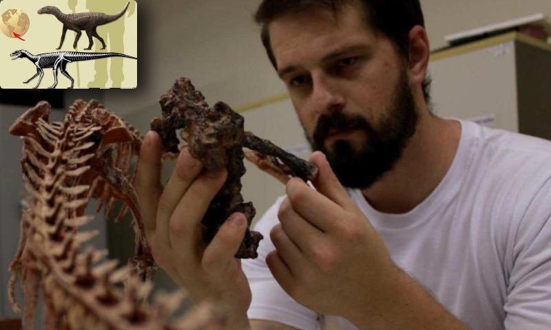 Fóssil de dinossauro que viveu há 237 milhões de anos é descoberto no Brasil