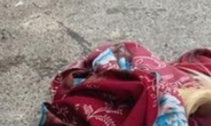 Briga de casal termina com cachorro morto com tiro na cabeça em Manaus