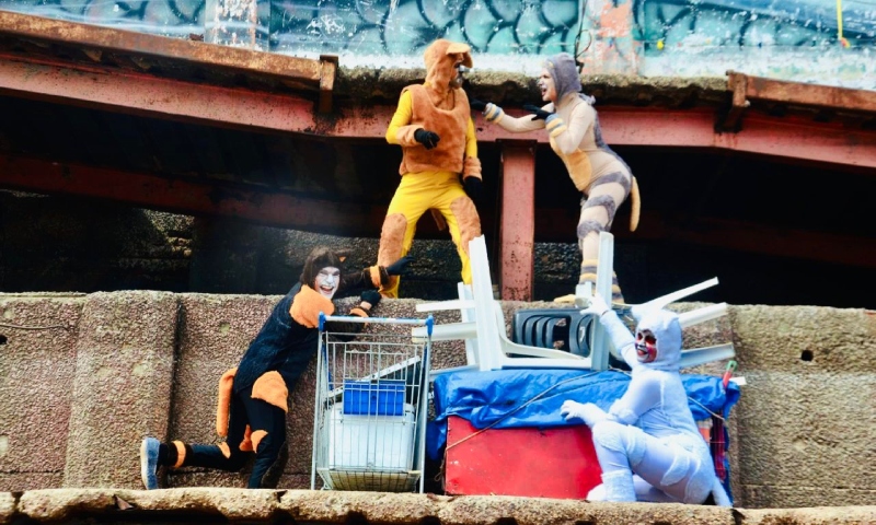 ‘Musigatos’ promete emocionar Manaus com show musical inédito e gratuito