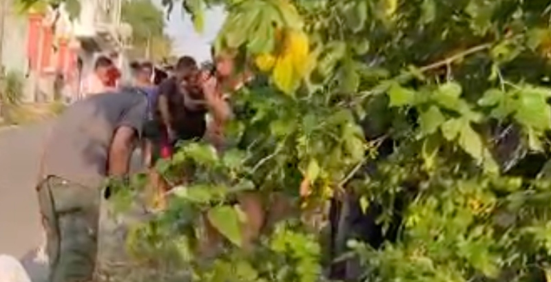 Urgente: corpo com pés e mãos amarrados é desovado no Colônia Terra Nova; veja vídeo